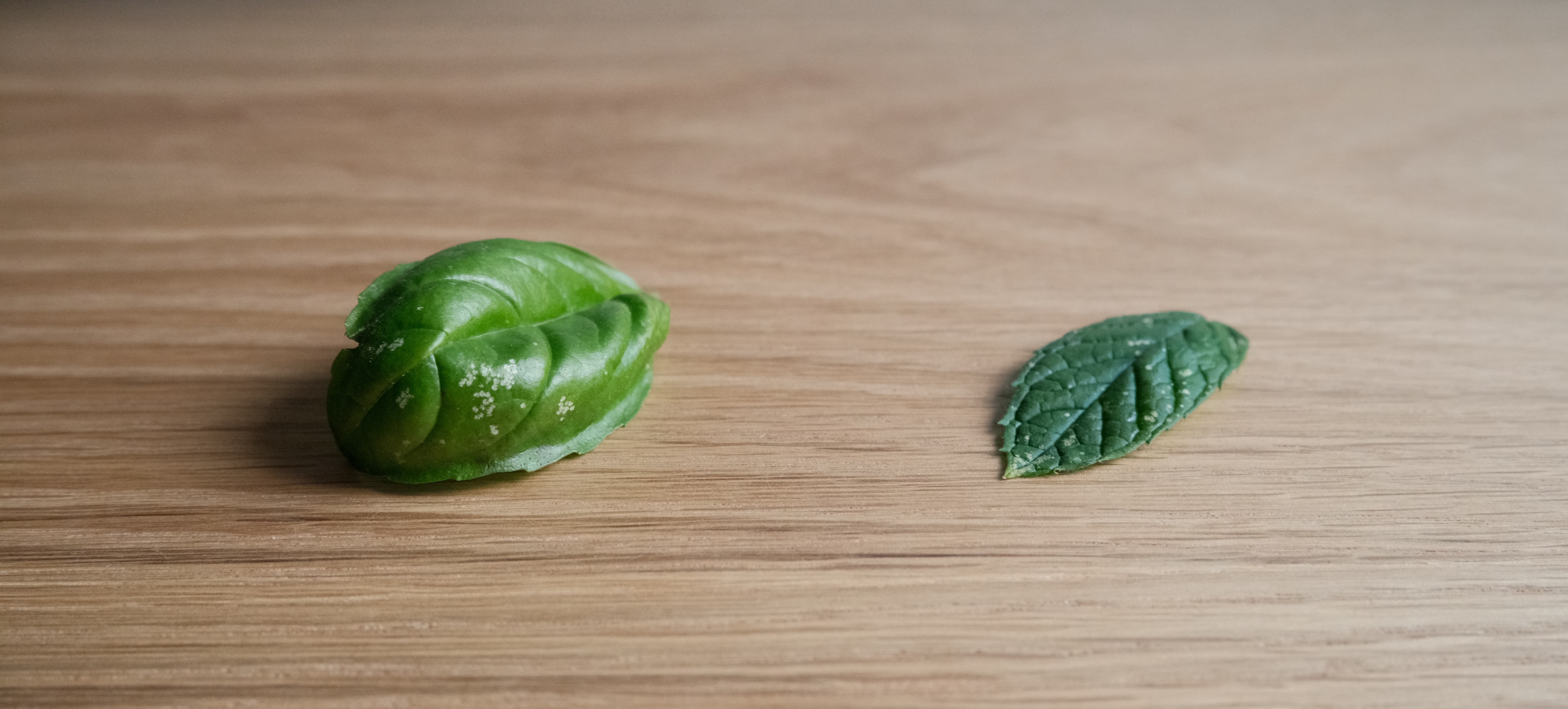 Basil and Mint leaves